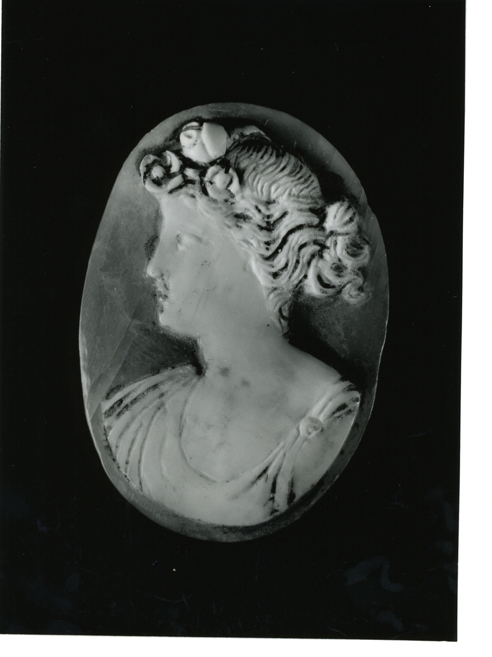 testa di donna (cammeo) - bottega napoletana (primo quarto sec. XX)