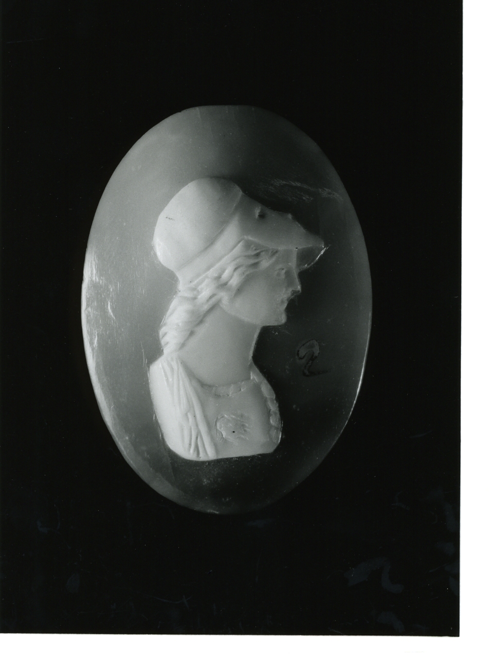 testa di donna (cammeo) - bottega napoletana (primo quarto sec. XX)