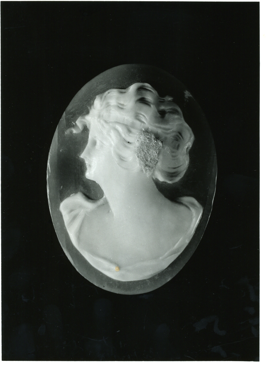 testa di donna (cammeo) - bottega napoletana (primo quarto sec. XX)