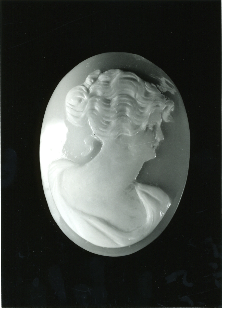 testa di donna (cammeo) - bottega napoletana (primo quarto sec. XX)
