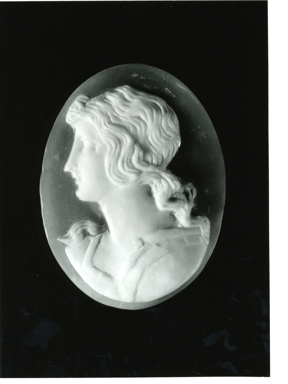 testa di donna (cammeo) - bottega napoletana (primo quarto sec. XX)