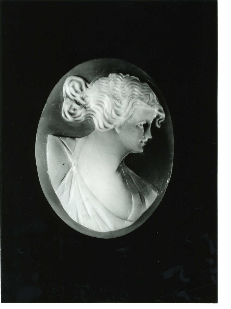 testa di donna (cammeo) - bottega napoletana (primo quarto sec. XX)
