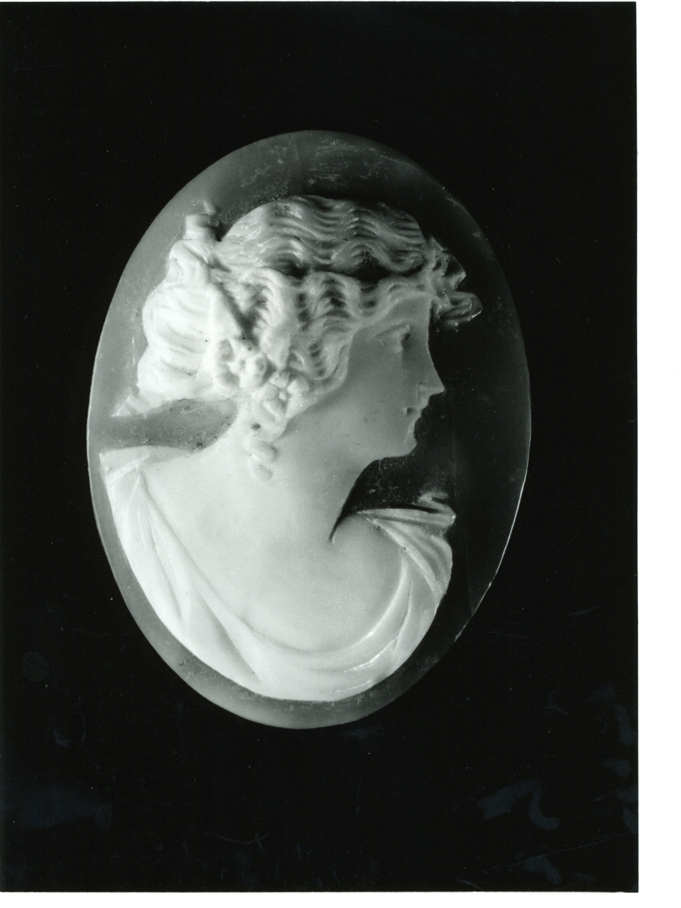 testa di donna (cammeo) - bottega napoletana (primo quarto sec. XX)