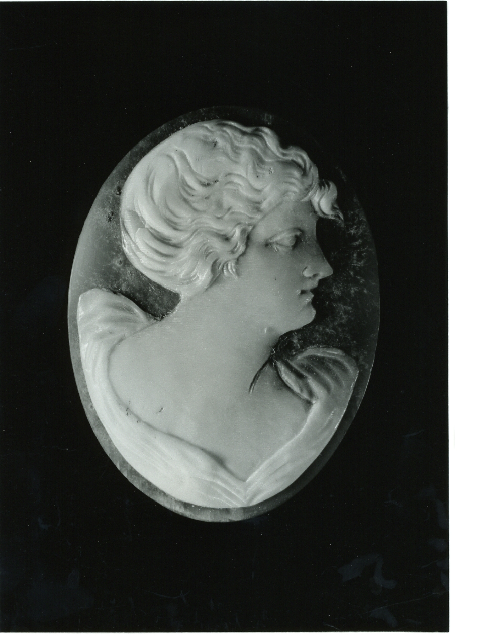 testa di donna (cammeo) - bottega napoletana (primo quarto sec. XX)