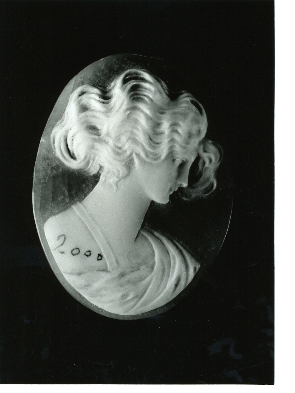 testa di donna (cammeo) - bottega napoletana (primo quarto sec. XX)