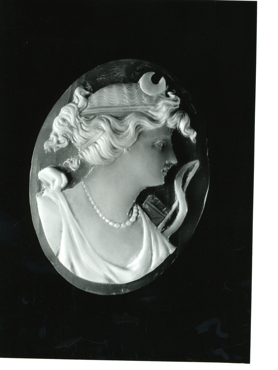 testa di donna (cammeo) - bottega napoletana (primo quarto sec. XX)