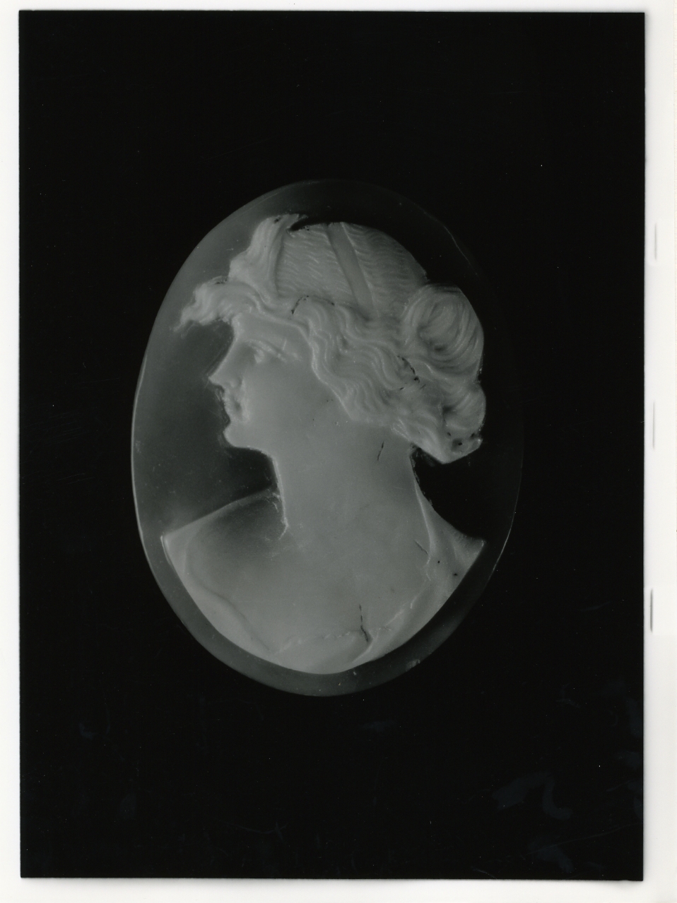 testa di donna (cammeo) - bottega napoletana (primo quarto sec. XX)