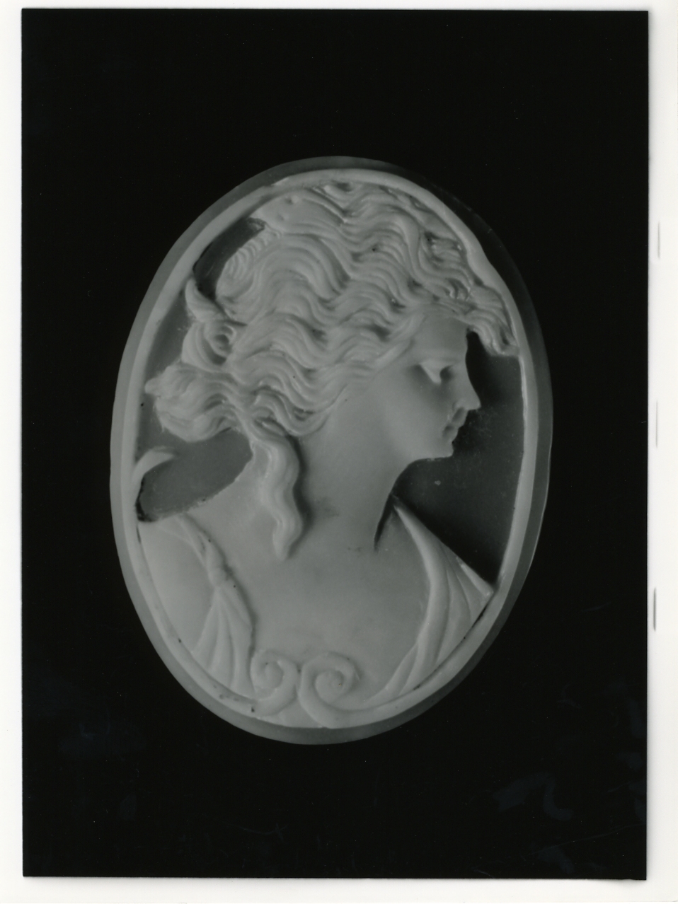 testa di donna (cammeo) - bottega napoletana (primo quarto sec. XX)