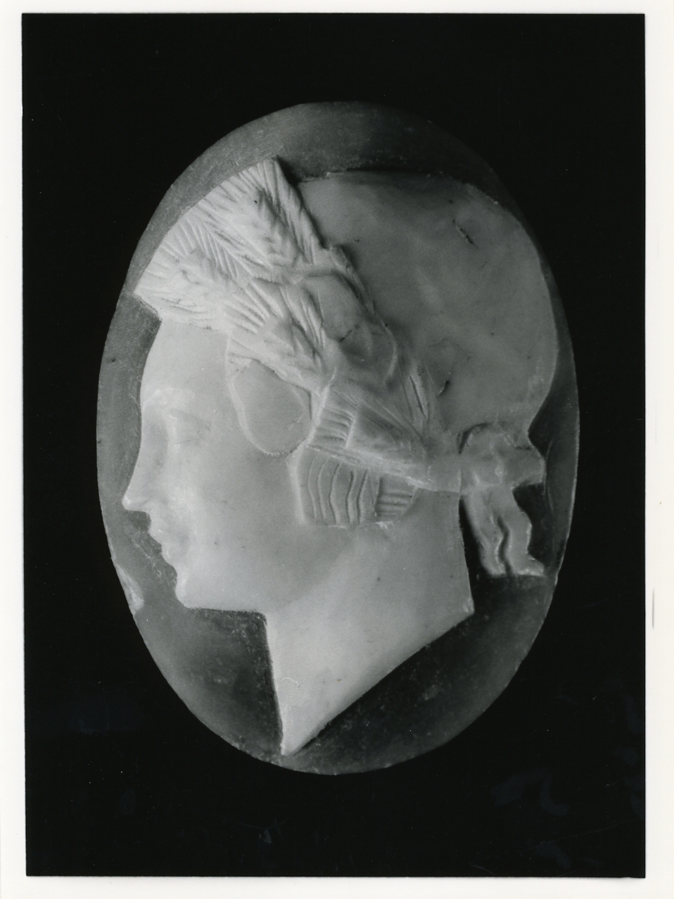 testa di donna (cammeo) - bottega napoletana (primo quarto sec. XX)