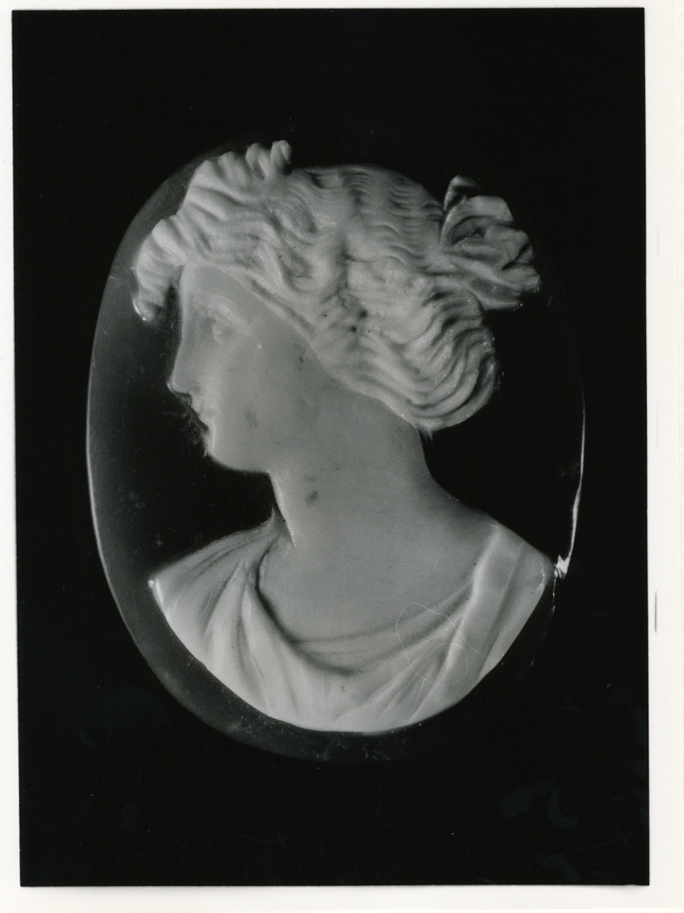 testa di donna (cammeo) - bottega napoletana (primo quarto sec. XX)