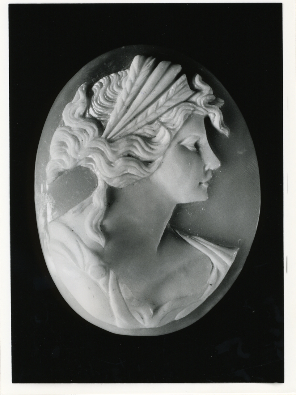 testa di donna (cammeo) - bottega napoletana (primo quarto sec. XX)