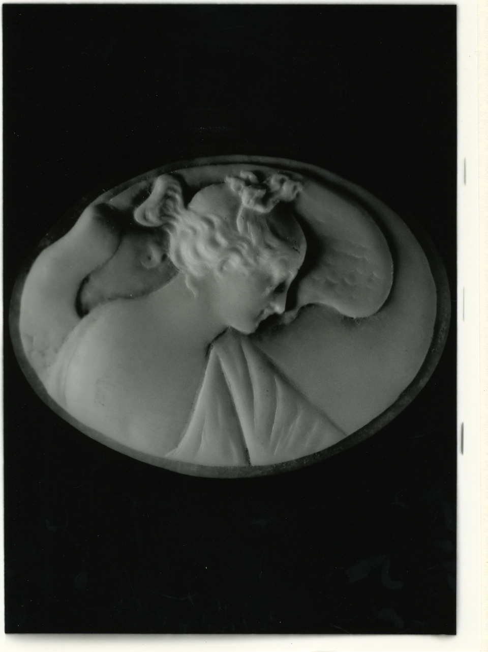 testa di donna (cammeo) - bottega napoletana (primo quarto sec. XX)