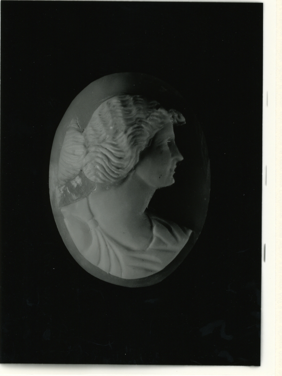 testa di donna (cammeo) - bottega napoletana (primo quarto sec. XX)