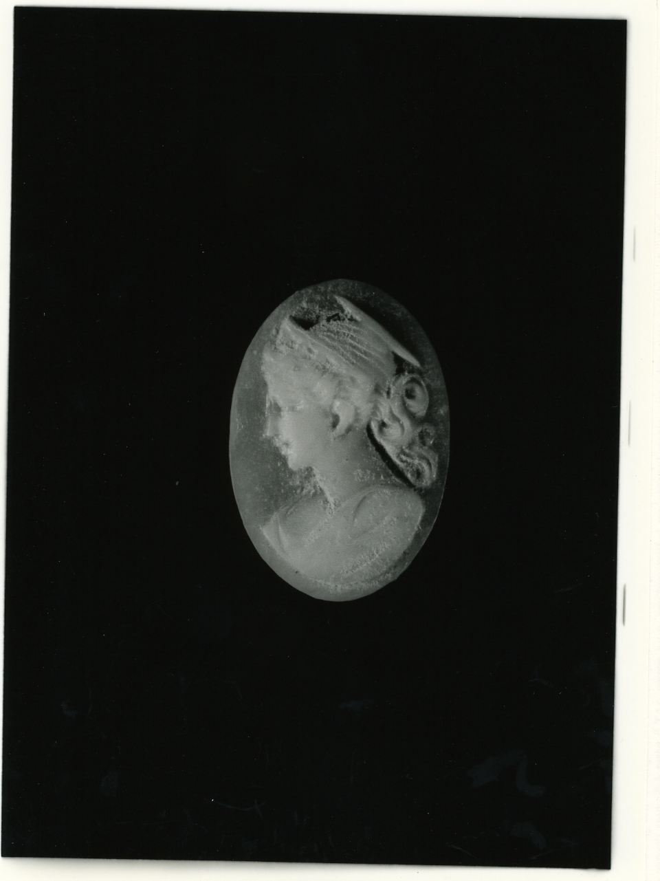 testa di donna (cammeo) - bottega napoletana (primo quarto sec. XX)