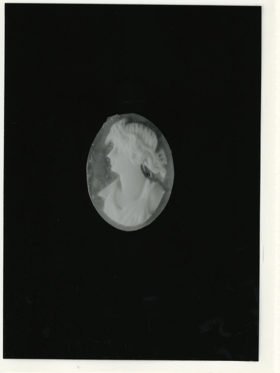 testa di donna (cammeo) - bottega napoletana (primo quarto sec. XX)