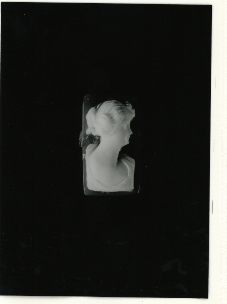 testa di donna (cammeo) - bottega napoletana (primo quarto sec. XX)