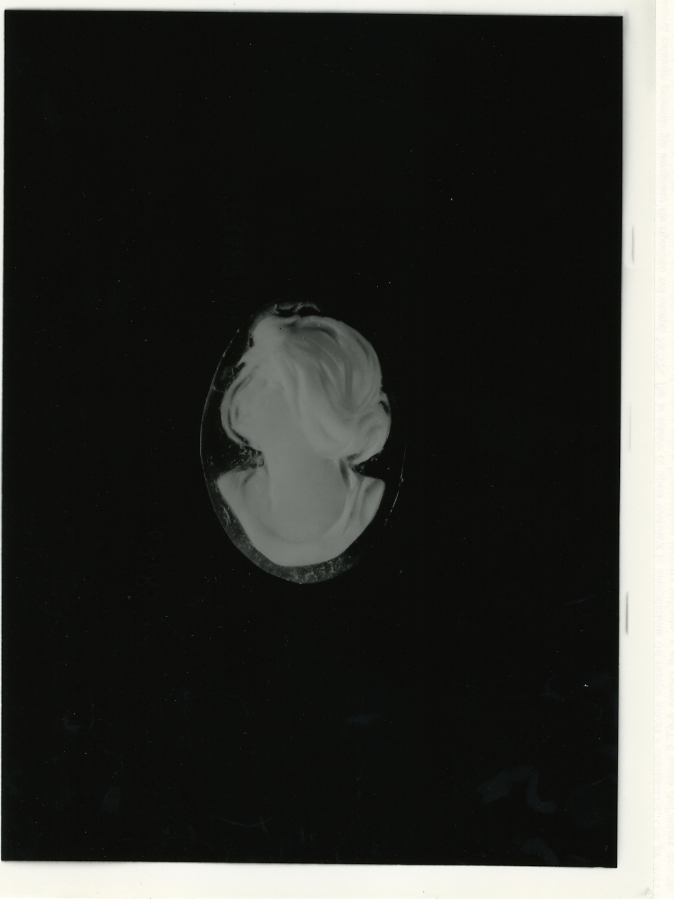testa di donna (cammeo) - bottega napoletana (primo quarto sec. XX)