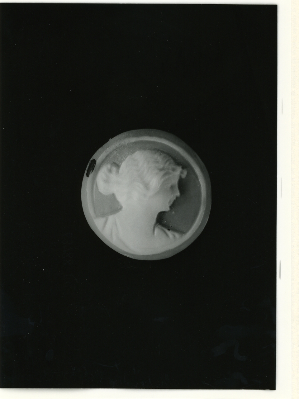 testa di donna (cammeo) - bottega napoletana (primo quarto sec. XX)