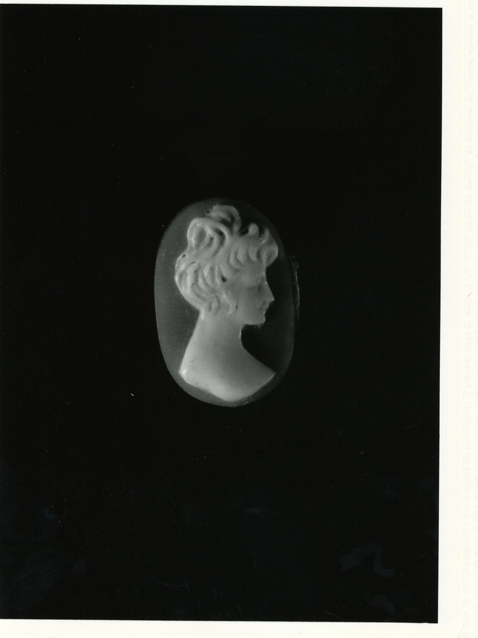 testa di donna (cammeo) - bottega napoletana (primo quarto sec. XX)
