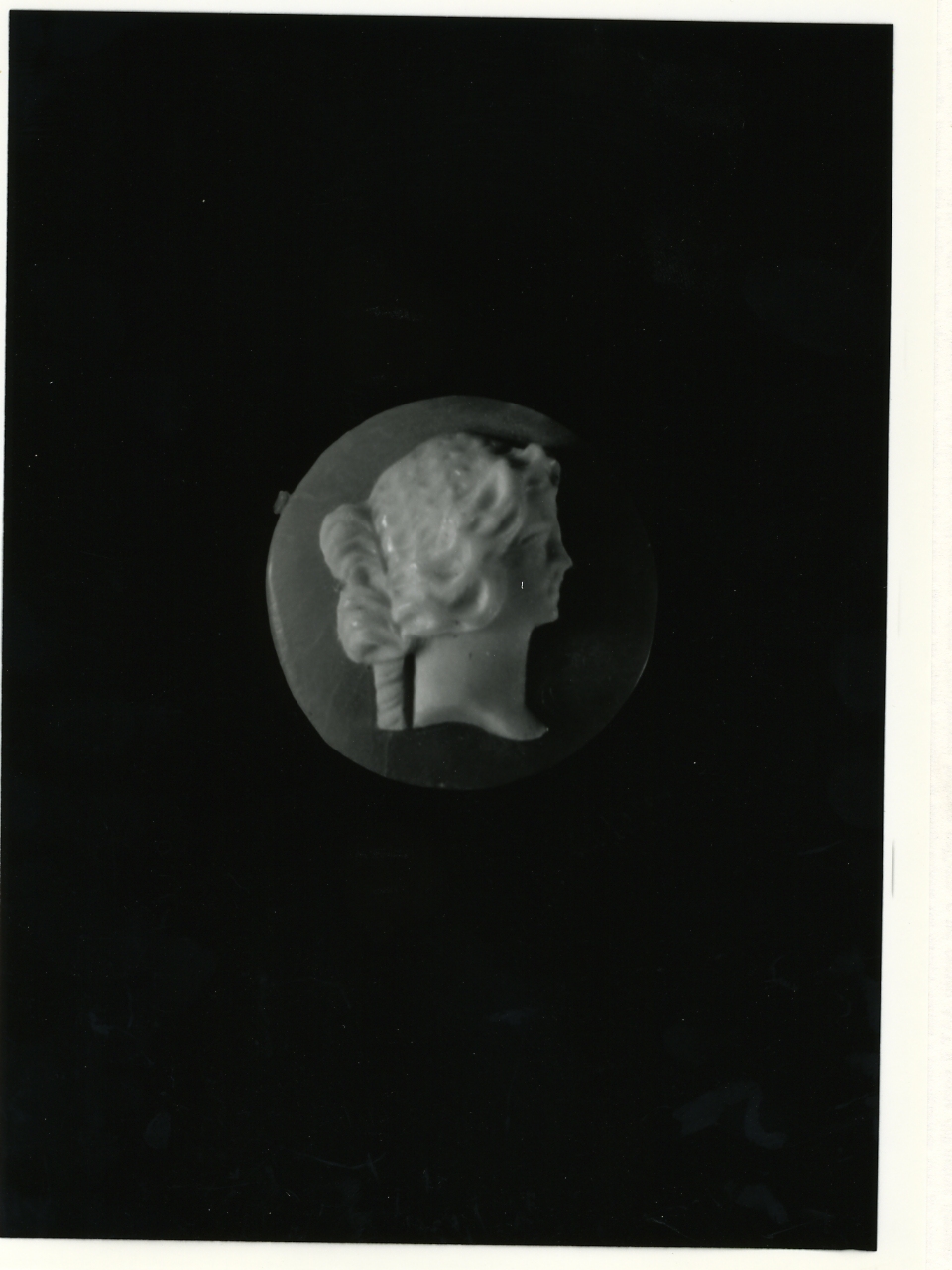 testa di donna (cammeo) - bottega napoletana (primo quarto sec. XX)