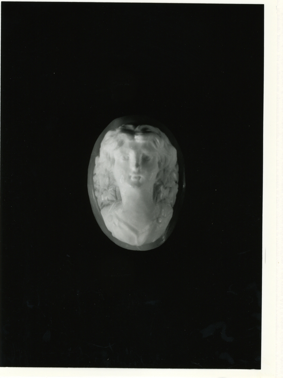 testa di donna (cammeo) - bottega napoletana (primo quarto sec. XX)