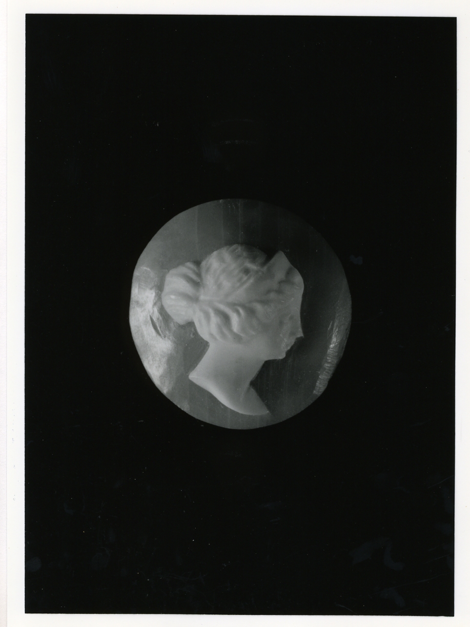 testa di donna (cammeo) - bottega napoletana (primo quarto sec. XX)