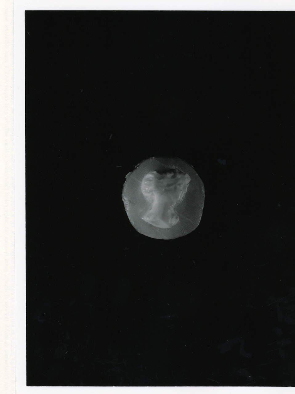 testa di donna (cammeo) - bottega napoletana (primo quarto sec. XX)