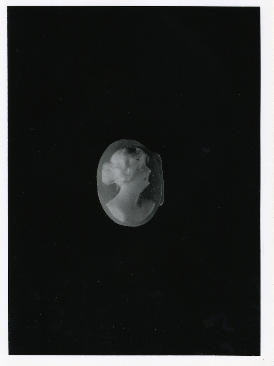 testa di donna (cammeo) - bottega napoletana (primo quarto sec. XX)