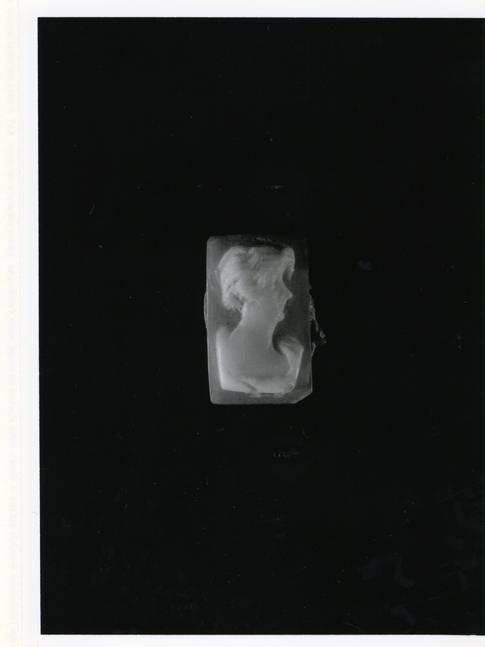 testa di donna (cammeo) - bottega napoletana (primo quarto sec. XX)