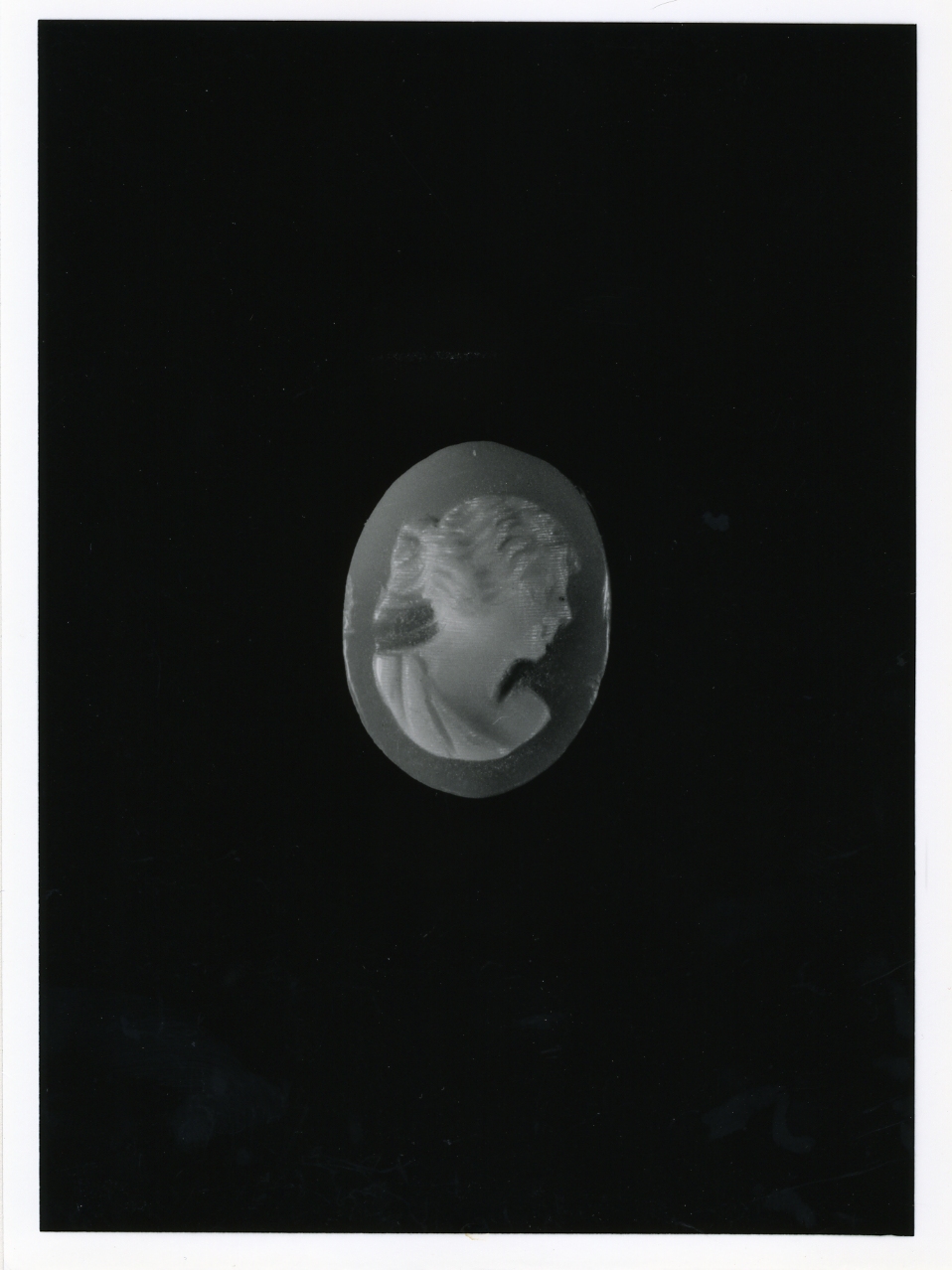 testa di donna (cammeo) - bottega napoletana (primo quarto sec. XX)