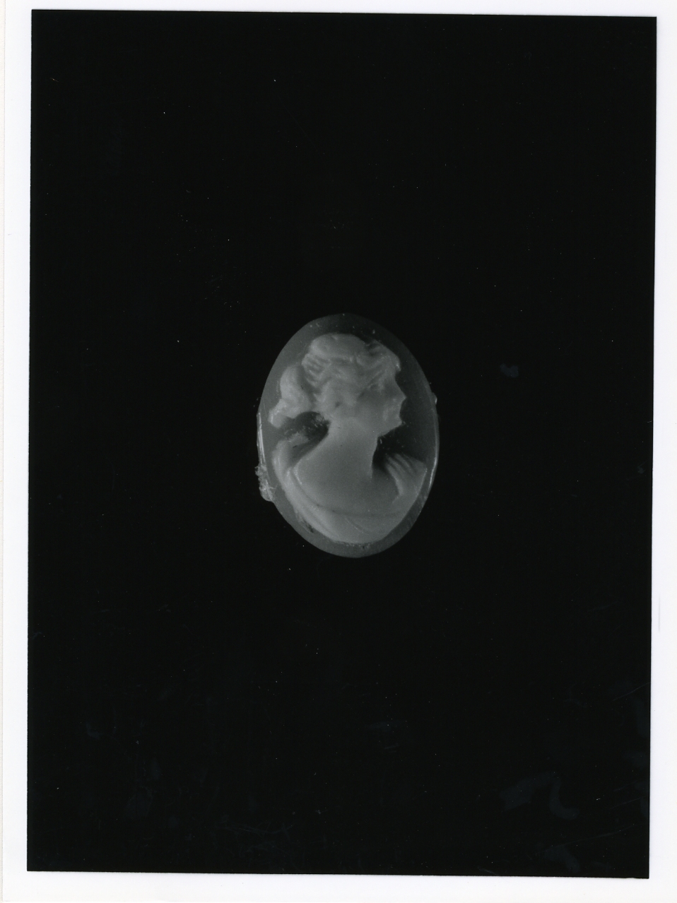 testa di donna (cammeo) - bottega napoletana (primo quarto sec. XX)