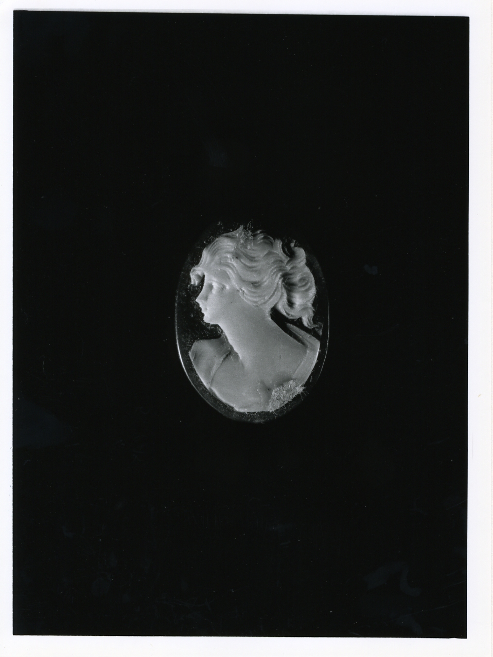 testa di donna (cammeo) - bottega napoletana (primo quarto sec. XX)