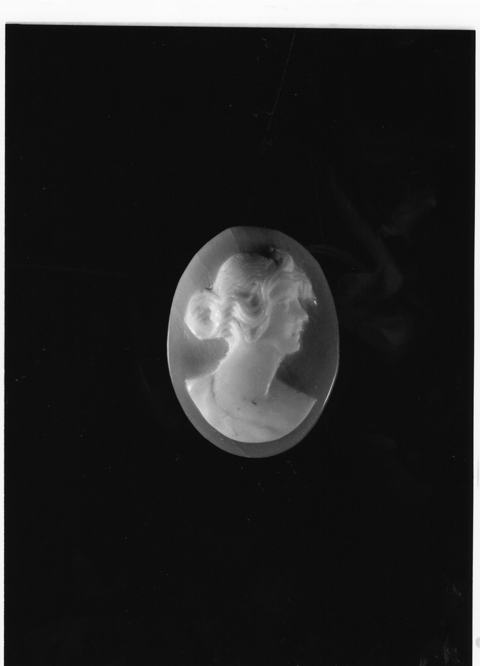 testa di donna (cammeo) - bottega napoletana (primo quarto sec. XX)