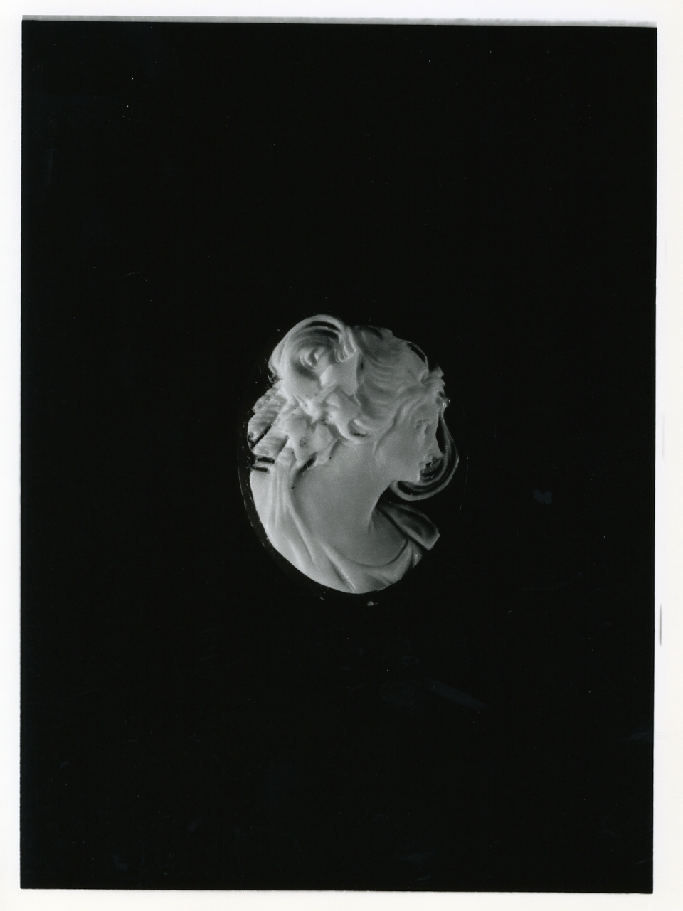 testa di donna (cammeo) - bottega napoletana (primo quarto sec. XX)