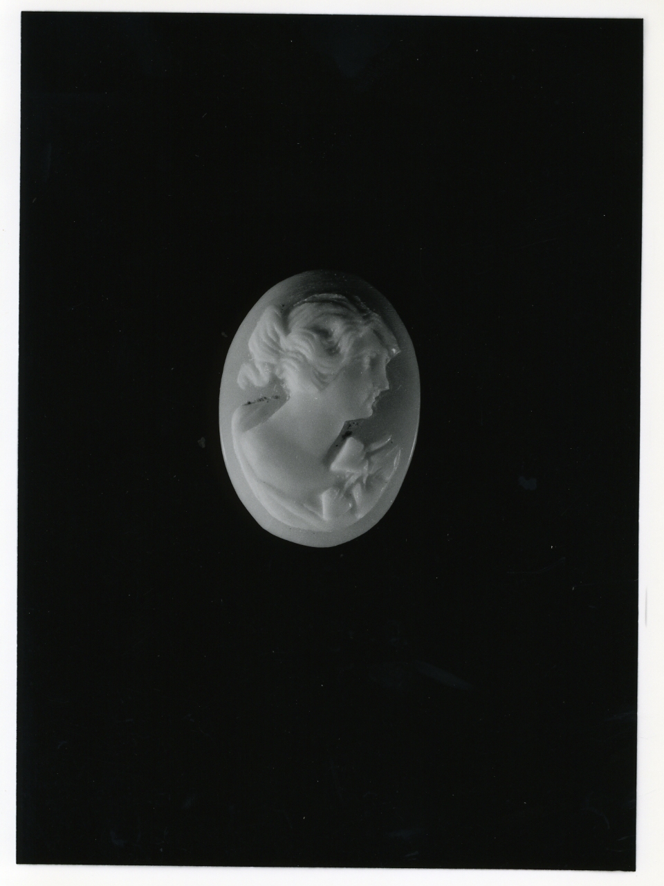 testa di donna (cammeo) - bottega napoletana (primo quarto sec. XX)