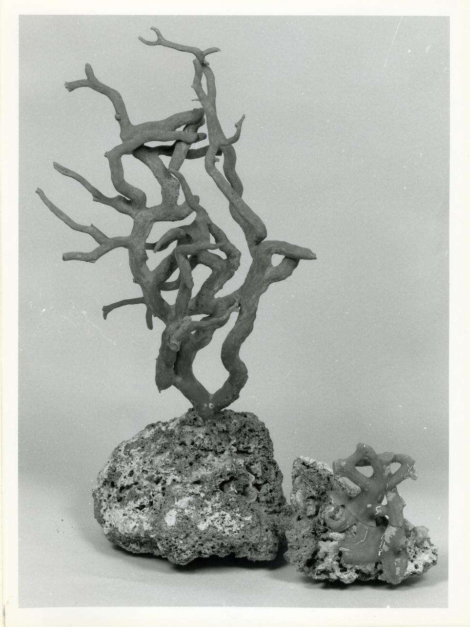 cormo - bottega napoletana (sec. XIX)