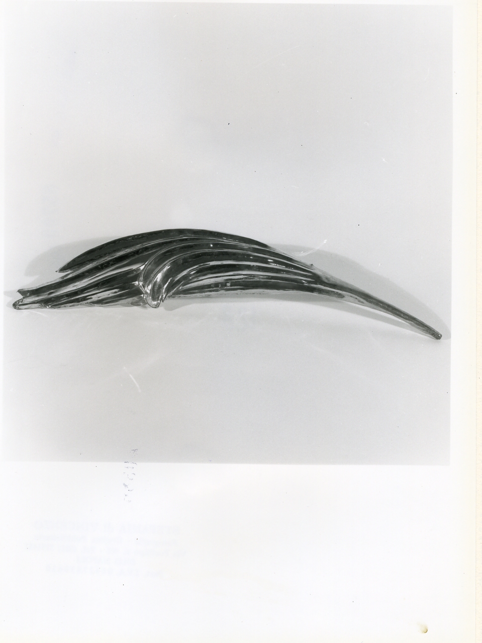 attributo iconografico di immagine sacra di Condursi Mattia (sec. XIX)