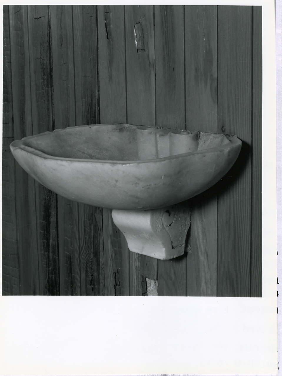 acquasantiera - a conchiglia, serie - bottega campana (sec. XVIII)