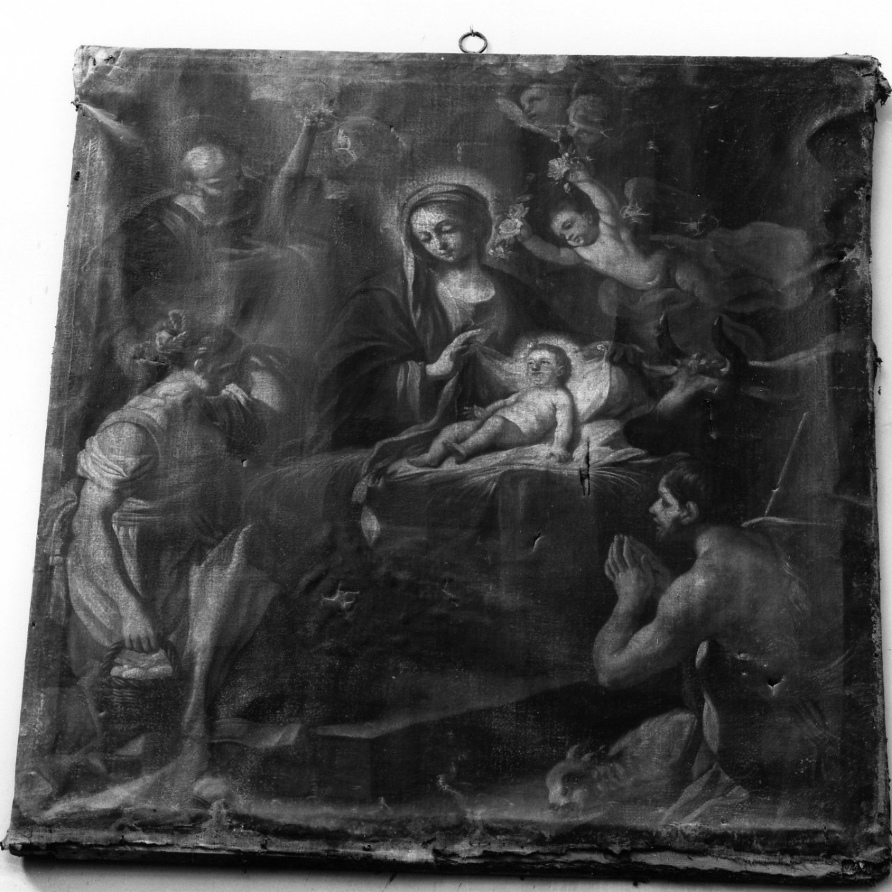 adorazione dei pastori (dipinto) di Solimena Francesco detto Abate Ciccio (cerchia) (inizio sec. XVIII)
