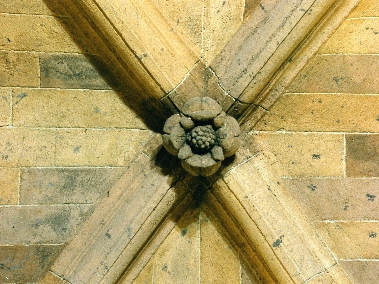 decorazione plastica, complesso decorativo - bottega napoletana (secondo quarto sec. XIV)