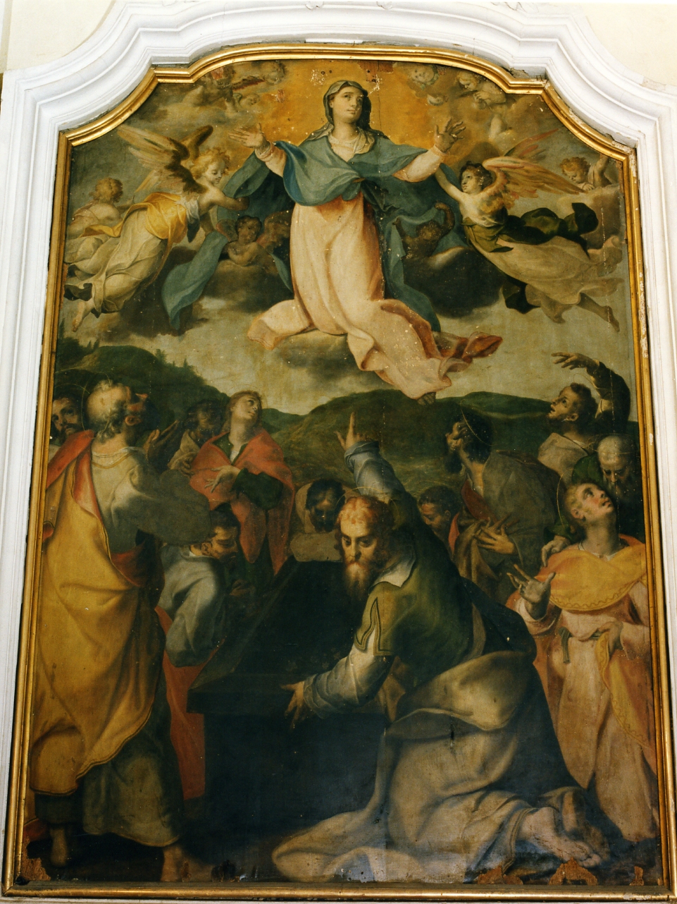 assunzione della Madonna (dipinto) di Hendricksz Dirk detto Teodoro d'Errico (fine/inizio secc. XVI/ XVII)