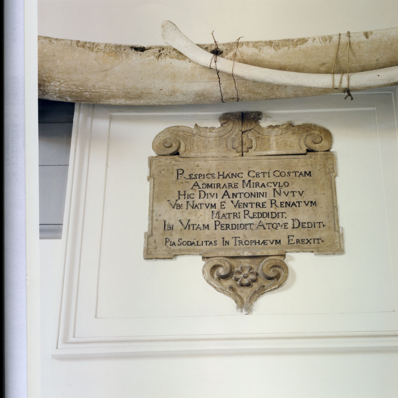 lapide - bottega napoletana (seconda metà sec. XVI)