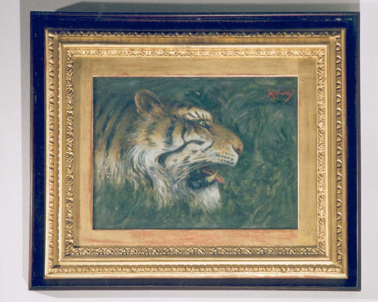 testa di tigre (dipinto) di Migliaro Vincenzo (primo quarto sec. XX)