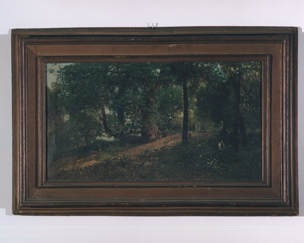 veduta del bosco di capodimonte a napoli (dipinto) di Laezza Giuseppe (primo quarto sec. XX)