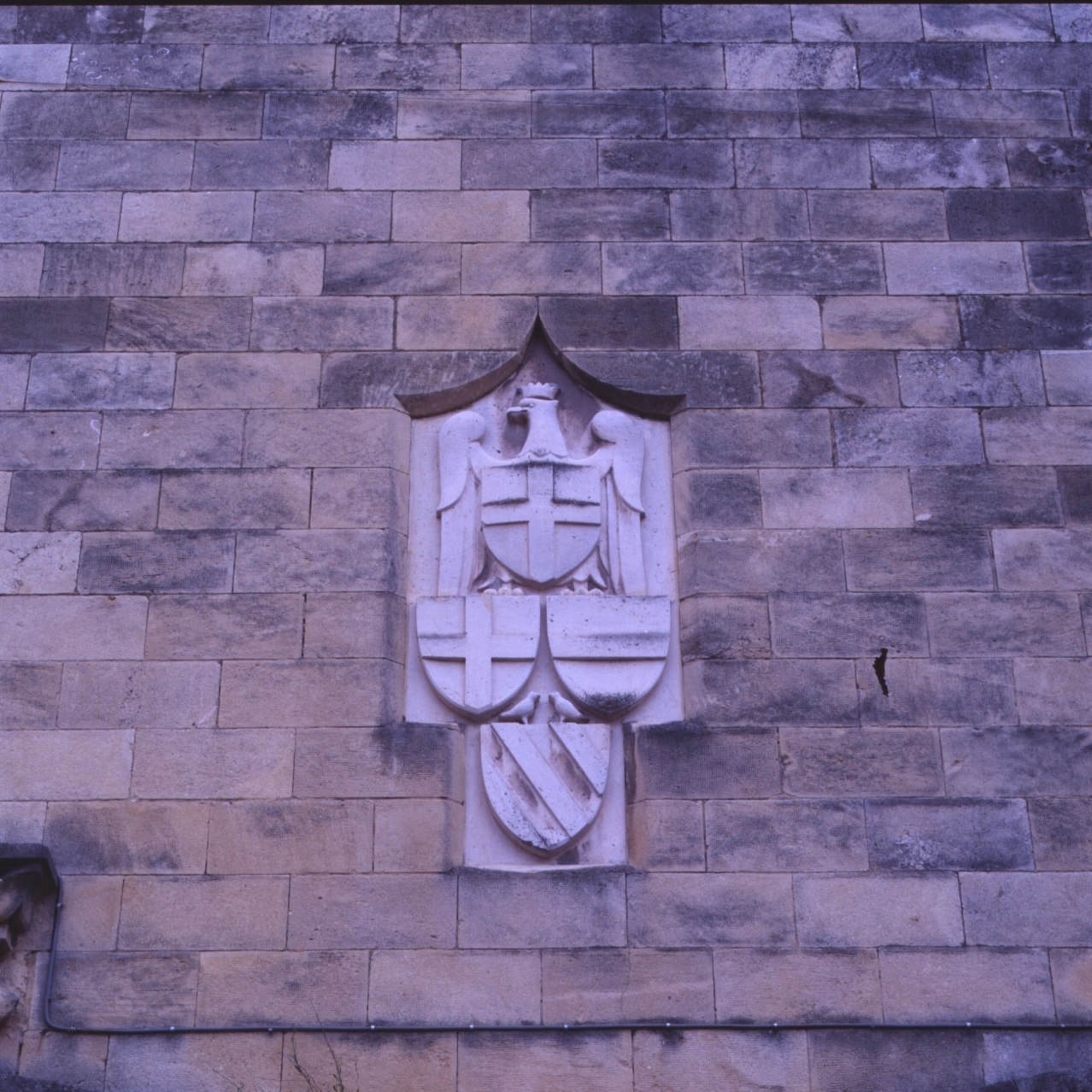 stemma con Aquila (rilievo) - bottega napoletana (metà sec. XX)