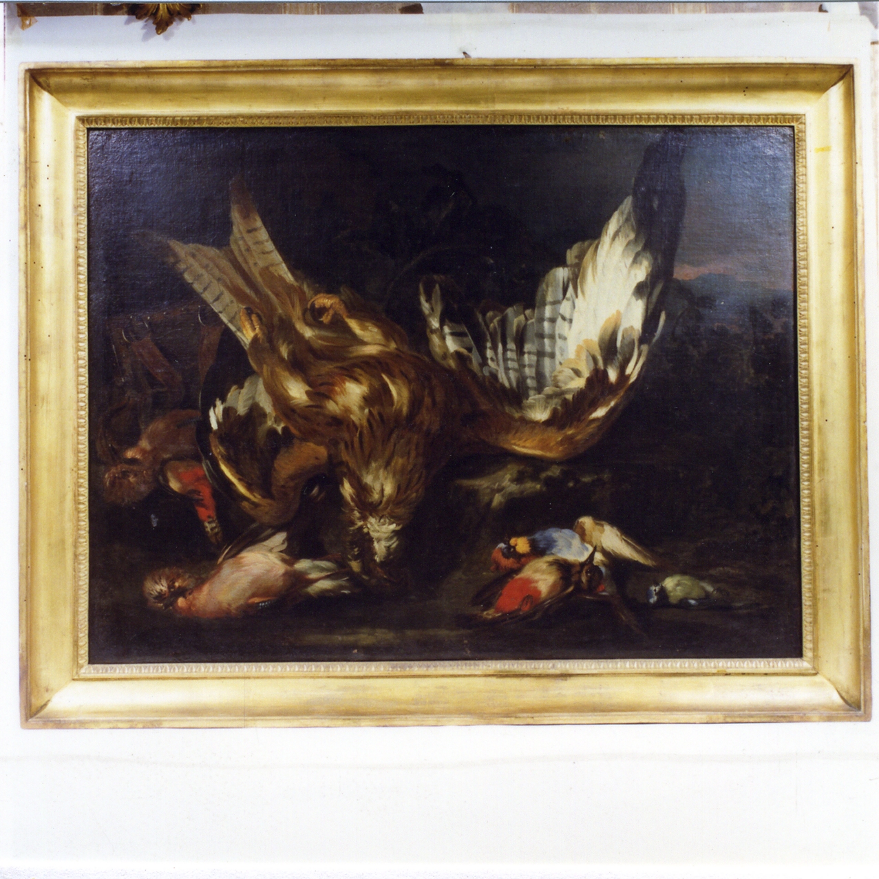natura morta con cacciagione (dipinto) di De Caro Baldassare (prima metà sec. XVIII)