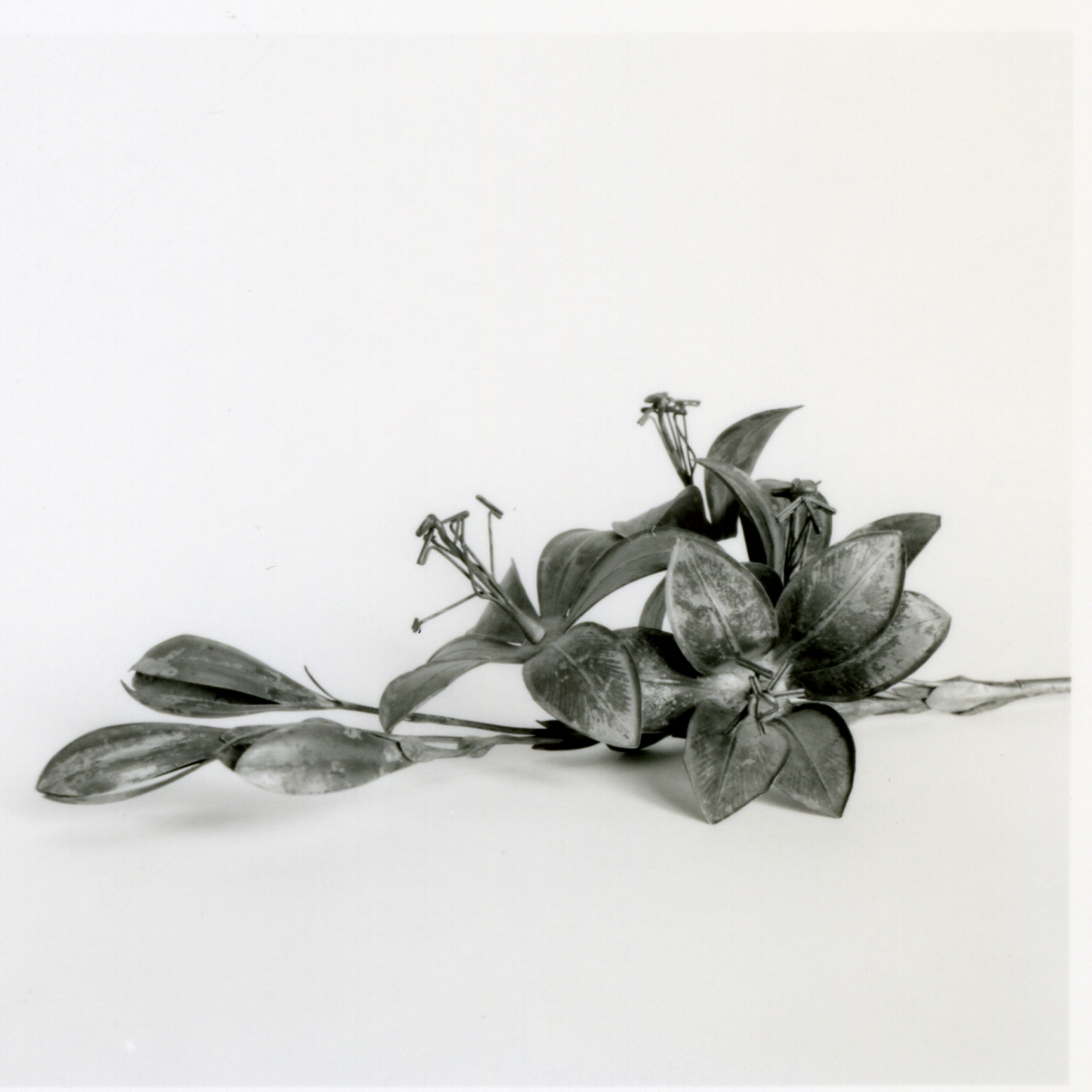 fiori (decorazione) - bottega napoletana (fine sec. XIX)