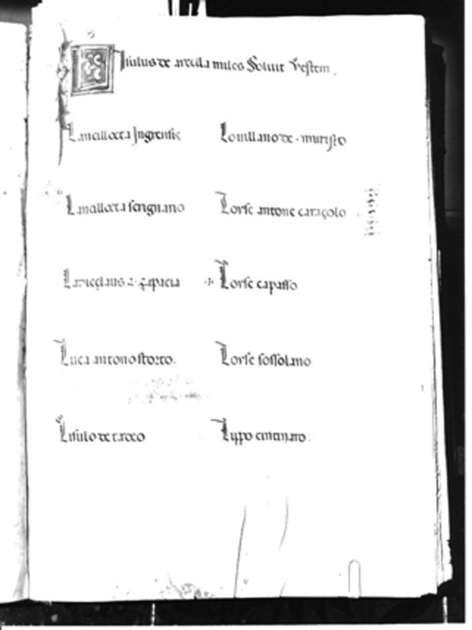 miniatura - AMBITO NAPOLETANO (Seconda metà sec. XV)