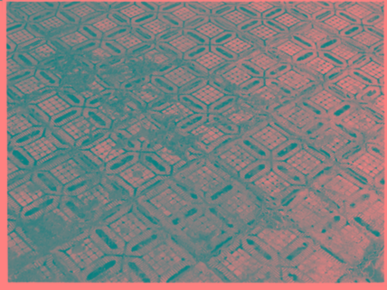 PAVIMENTO - BOTTEGA NAPOLETANA (INIZIO sec. XIX)