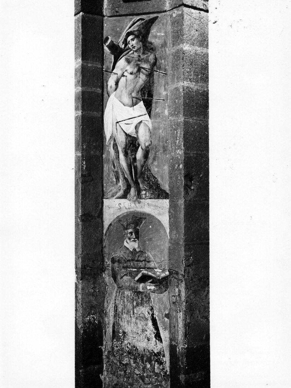 Santo domenicano (dipinto, elemento d'insieme) di Calise Cesare (scuola) (secondo quarto sec. XVII)